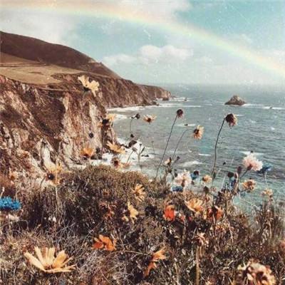 战地手游测试服下载安装